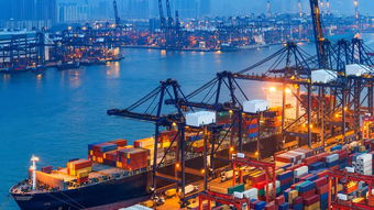 晴川供应 青岛至杰克逊维尔海运货运代理服务