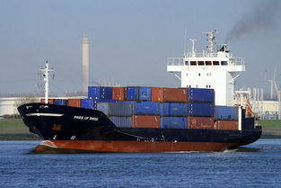 山东临沂至海南三亚原料国内海运及货运代理服务解析